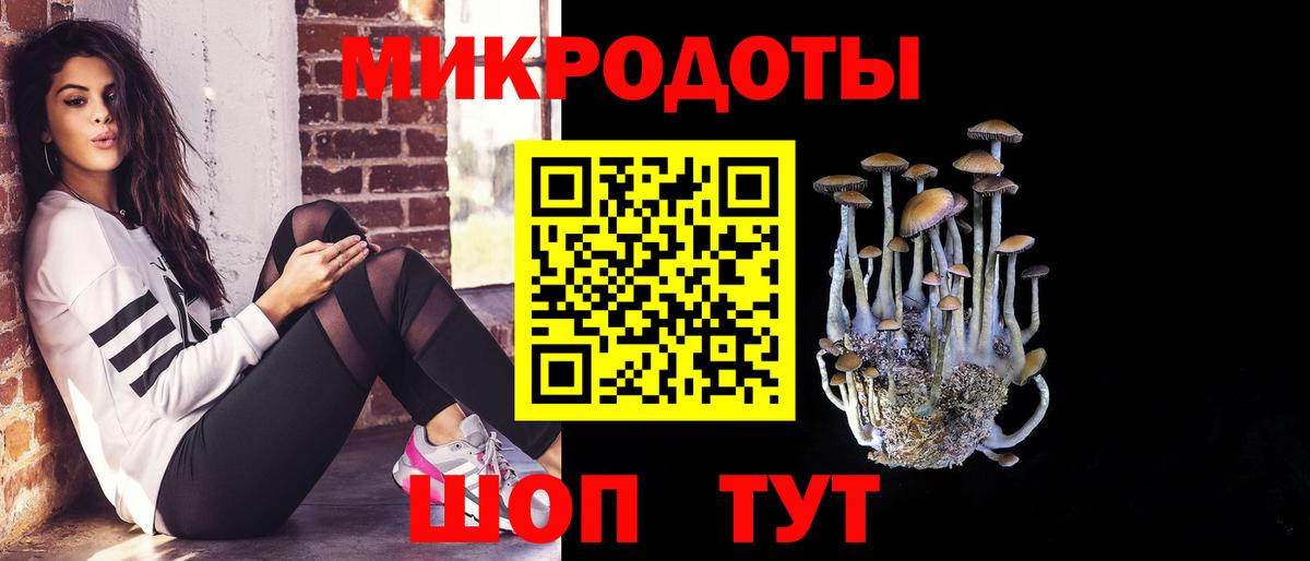 Псилоцибиновые грибы ЛСД Балашов