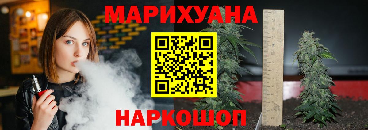 МАРИХУАНА сатива Балашов